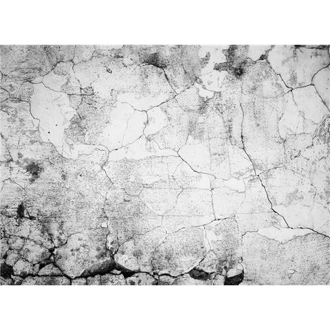 DESIGN WALLS illusion MURAL cement crack (350CM WIDE X 255CM HIGH)