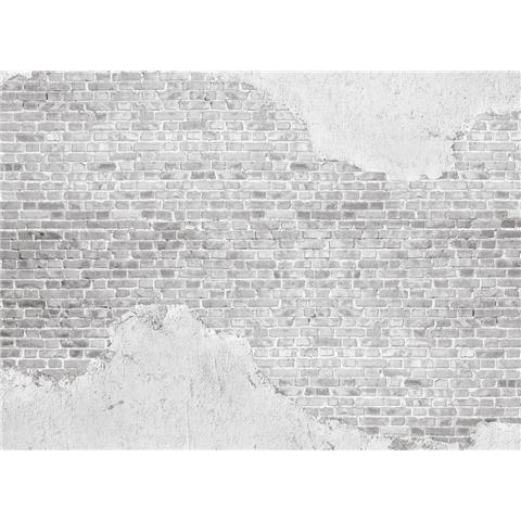 DESIGN WALLS illusion MURAL old brick (350CM WIDE X 255CM HIGH)