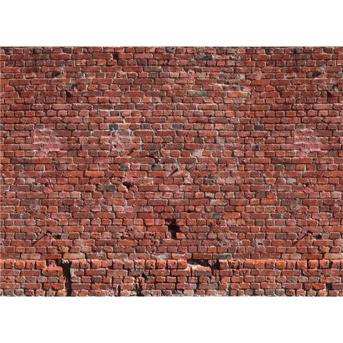 DESIGN WALLS illusion MURAL red brick (350CM WIDE X 255CM HIGH)