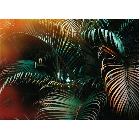 DESIGN WALLS BOTANICAL MURAL jungle colour (350CM WIDE X 255CM HIGH)