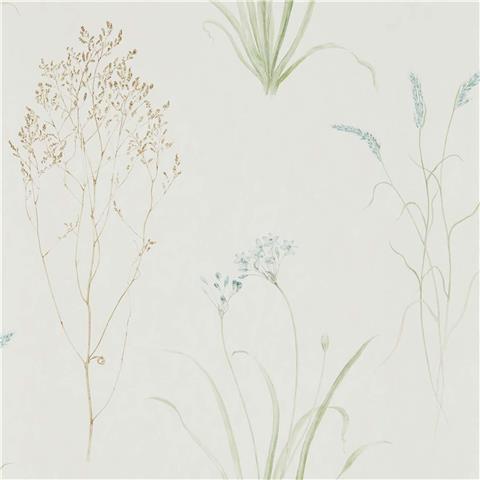 Sanderson Embleton Bay wallpaper Farne Grasses 216486 Cream/sage