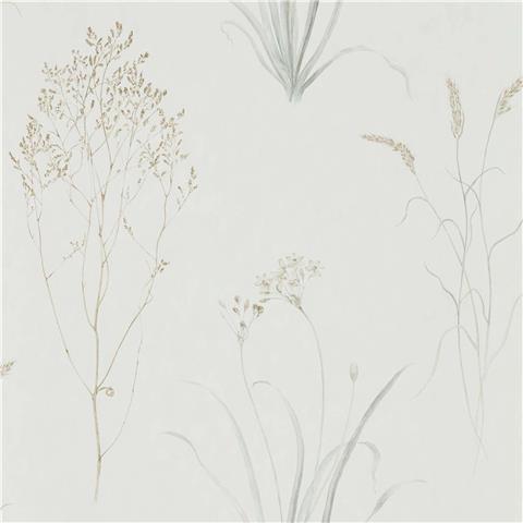 Sanderson Embleton Bay wallpaper Farne Grasses 216487 Silver/Ivory