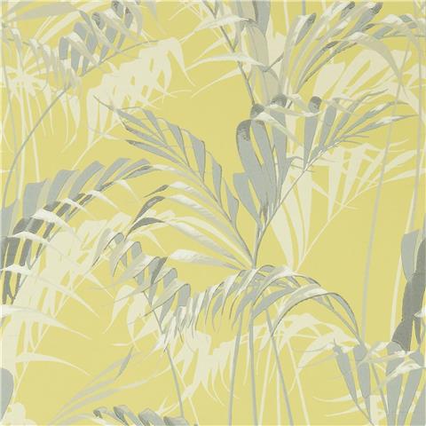Sanderson Glasshouse Wallpaper Palm House 216642 Chartreuse