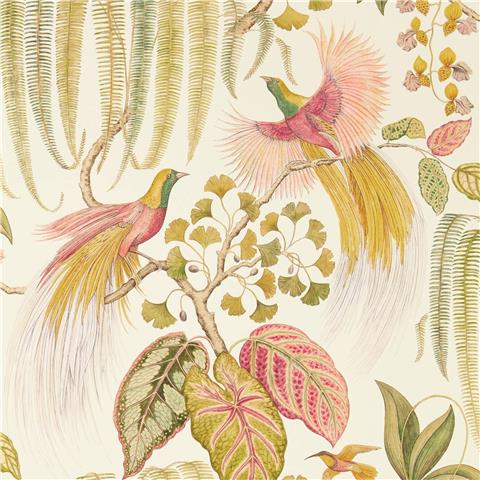 Sanderson Glasshouse Wallpaper Bird of Paradise 216653 Olive