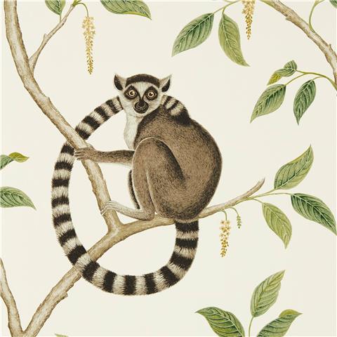 Sanderson Glasshouse Wallpaper Ring Tailed Lemur 216664 Olive