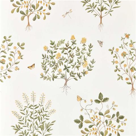 Sanderson Highgrove Wallpaper Thyme walk 217508 Lichen/Gooseberry