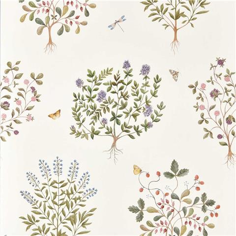 Sanderson Highgrove Wallpaper Thyme walk 217509 Damson/Quince