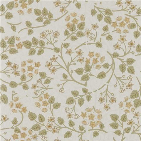 Sanderson Highgrove Wallpaper Silver Lime 217515 Lichen