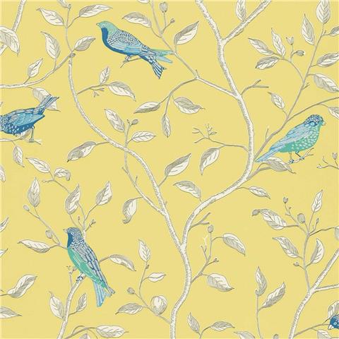 SANDERSON ONE SIXTY WALLPAPERS Finches DOPWFI101 Yellow