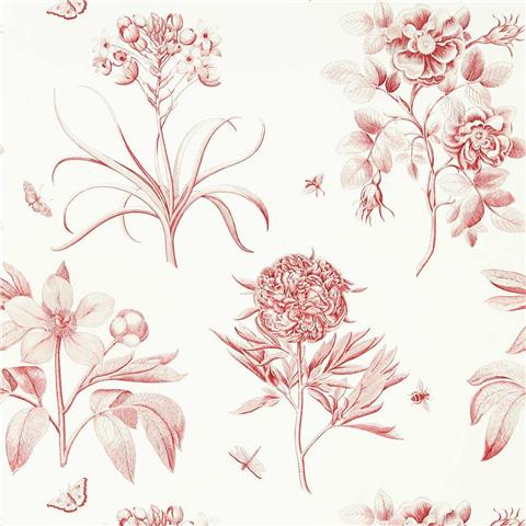 Sanderson One Sixty wallpapers Etchings and roses 217054 red