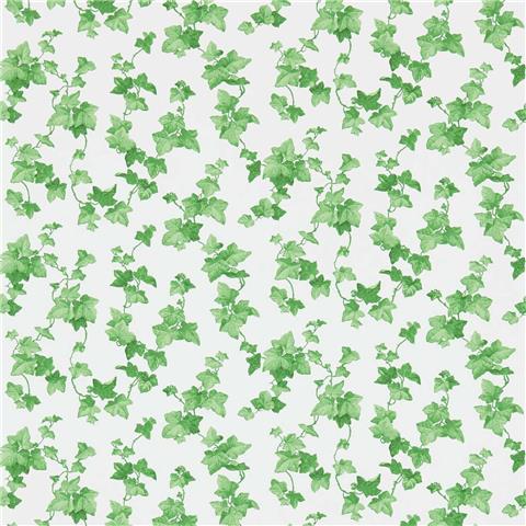 Sanderson One Sixty wallpapers Hedera 214593 Green
