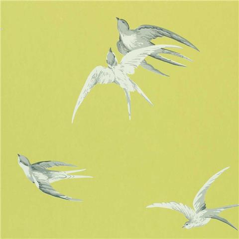 Sanderson One Sixty wallpapers Swallows DVIWSW101 Lime
