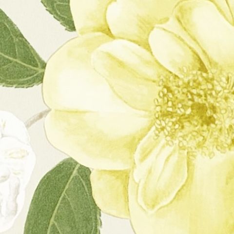 Sanderson Voyage of Discovery Wallpaper Christabel Floral Yellow/Ivory 213377