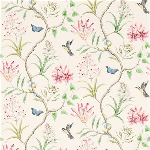 Sanderson One Sixty wallpapers Clementine 213388 Chintz