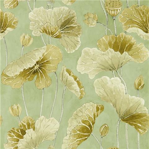 Sanderson Water Garden Wallpaper Lotus Leaf 217126