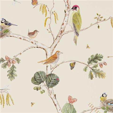 Sanderson Arboretum Wallpaper Woodland Chorus 215703 Cream/Multi