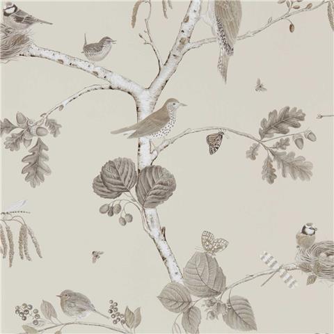 Sanderson Country Woodland Wallpaper Woodland chorus 215704 Sepia/neutral