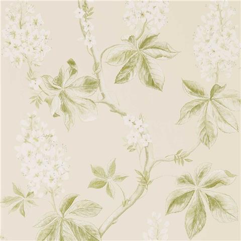 Sanderson Country Woodland Wallpaper Chestnut Tree 215707 Lemon/Lettuce