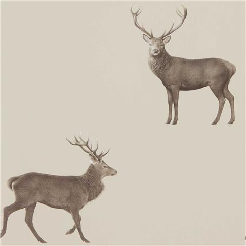 Sanderson Arboretum Wallpaper Evesham Deer 216618 Birch