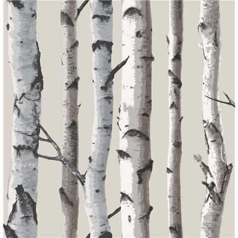 Fine Decor Woods Birch Tree Wallpaper FD31051 Cream/Silver