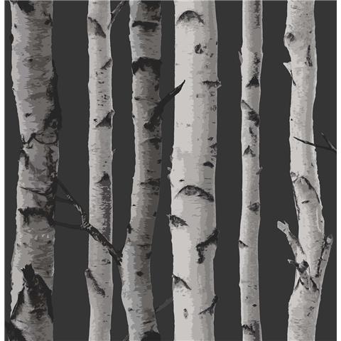 Fine Decor Woods Birch Tree Wallpaper FD31052 Black/Silver