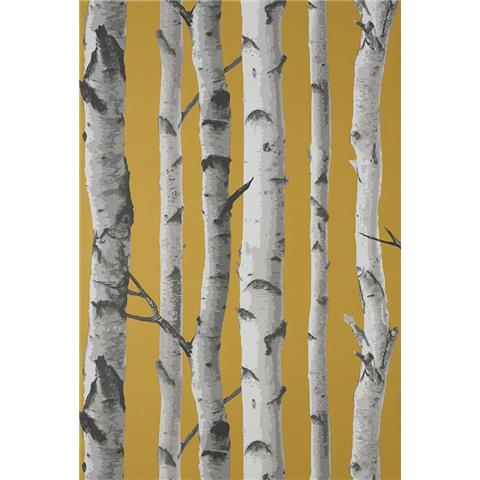 Fine Decor Woods Birch Tree Wallpaper FD43290 Mustard