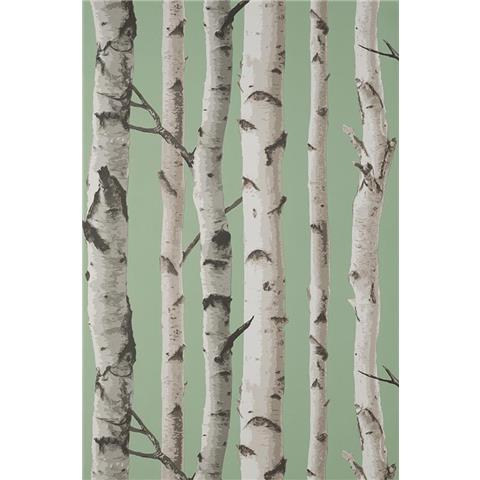 Fine Decor Woods Birch Tree Wallpaper FD43291 Sage