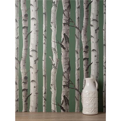Fine Decor Woods Birch Tree Wallpaper FD43292 Huntergreen