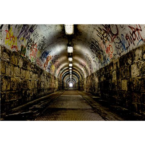 Galerie Kids + Teens Tunnel Mural G45481
