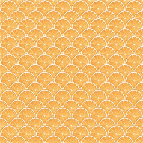 Galerie Just Kitchens Orange Slice Wallpaper G45439 p70