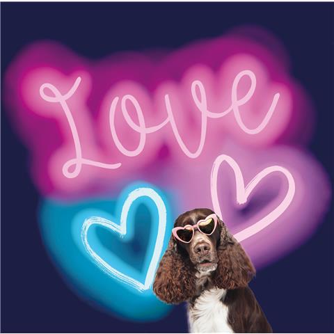 Galerie Kids + Teens Neon Love Mural G45471