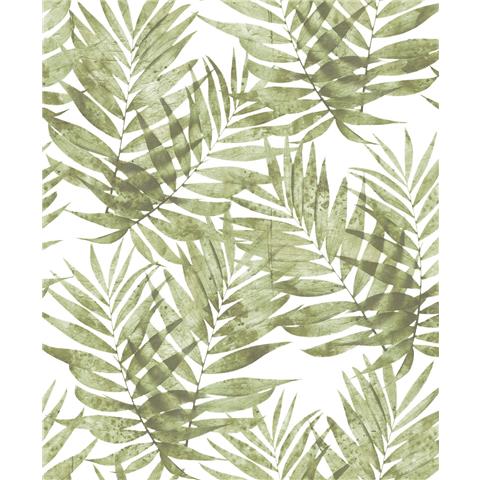Organic Textures wallpaper palm G67944 green