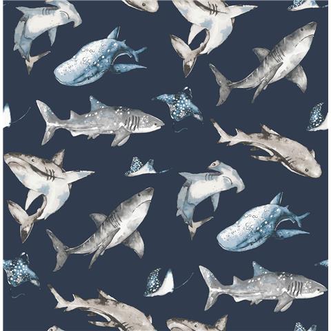 Galerie Kids + Teens Sharks Wallpaper G78590 p1