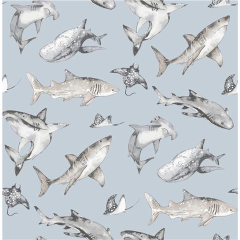 Galerie Kids + Teens Sharks Wallpaper G78591 p15