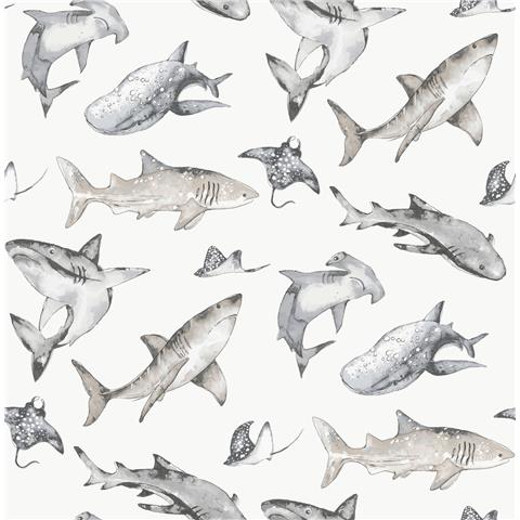 Galerie Kids + Teens Sharks Wallpaper G78593 p17