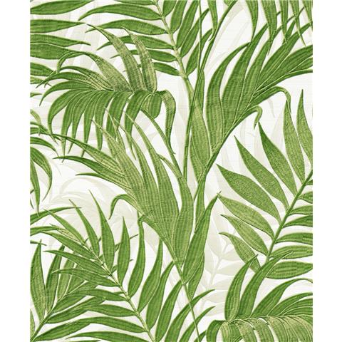 Design ID grace Wallpaper Tropical palm leaf GR322110