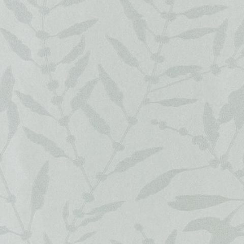 Harlequin Anthozoa Wallpaper Chaconia Shimmer HANZ111658