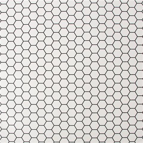 Contour Oasis Wallpaper for Kitchens and Bathrooms Hexagon Lattice 112650