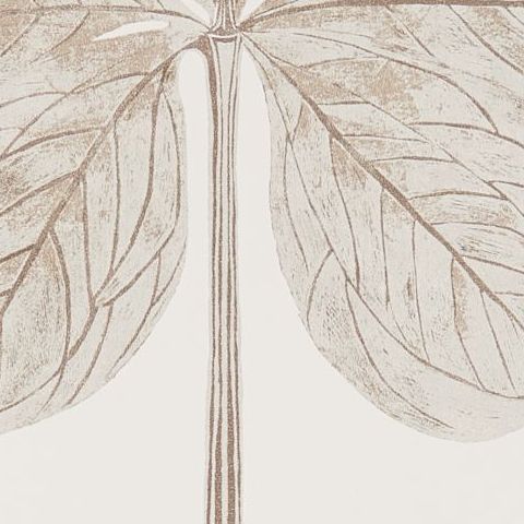 Harlequin Palmetto Wallpaper-Lovers Knot 111225