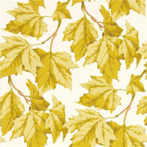 Harlequin Sophie Robinson Wallpaper Dappled Leaf 113046