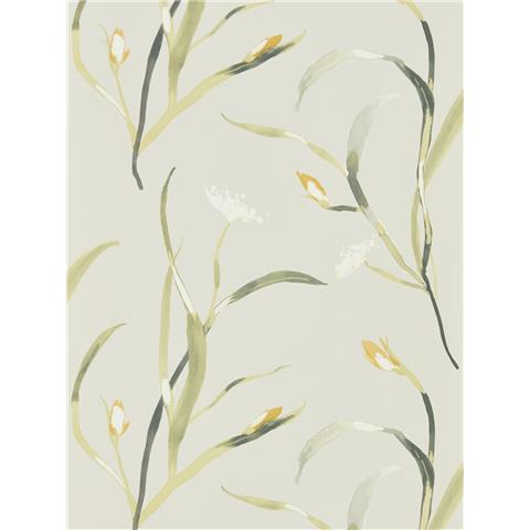 Harlequin Zapara Wallpaper- Saona 111757 Colourway Ochre/Linen