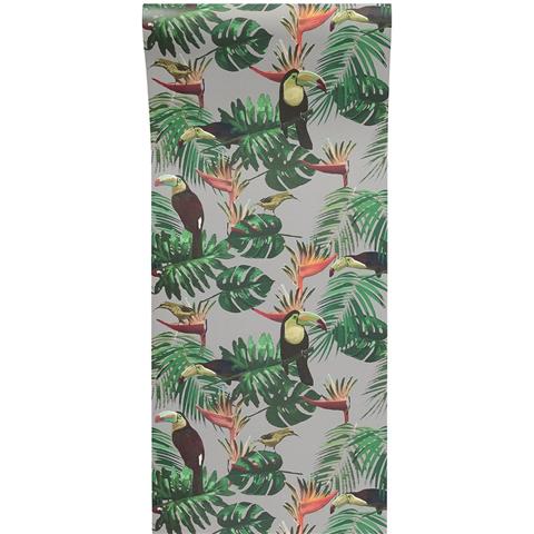 GRADUATE COLLECTION WALLPAPER Toucan and bee catcher