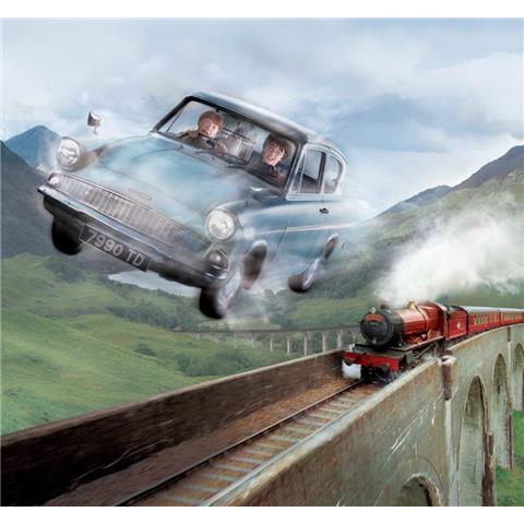 Harry Potter Journey to Hogwarts Mural 111393