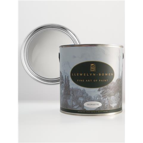 LLB Off the Wall Matt Emulsion 100ml Tester Pot TESTLB25187P Georgette