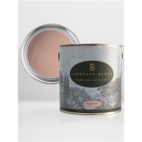 LLB Off the Wall Matt Emulsion 100ml Tester Pot TESTLB25192P Marie Rose