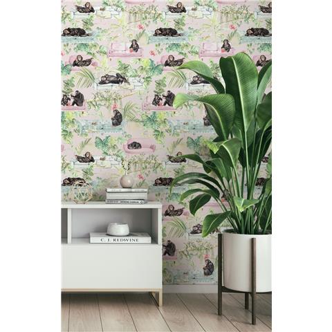 Graduate Collection Wallpaper Monkey Business Pink