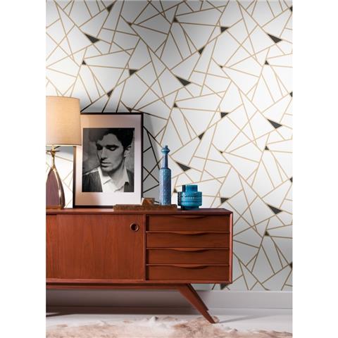 Black and White Resource Prismatic Wallpaper RY2702