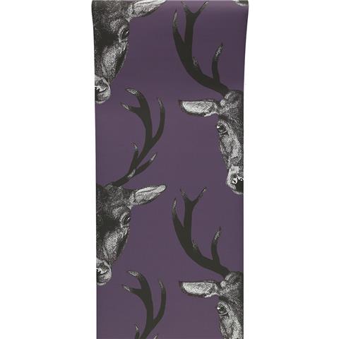 GRADUATE COLLECTION WALLPAPER Stag Plum