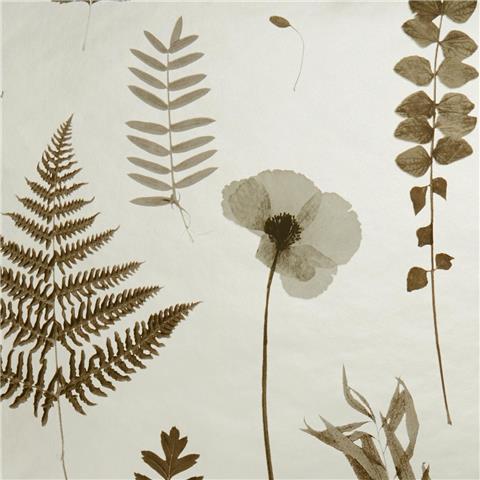 CLARKE & CLARKE Botanica WALLPAPER herbarium wild flowers W0091-02