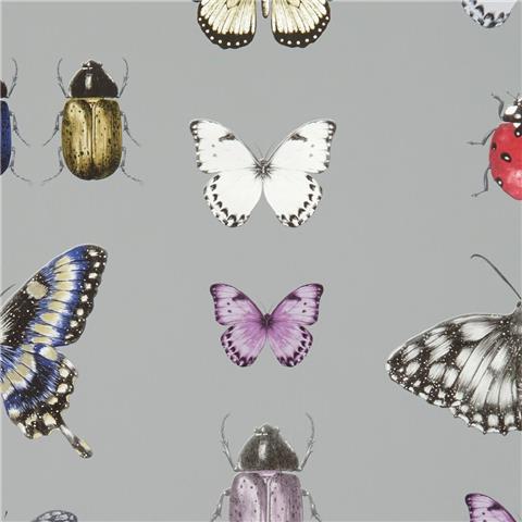 CLARKE & CLARKE Botanica WALLPAPER papilio butterfly/insect W0094-02